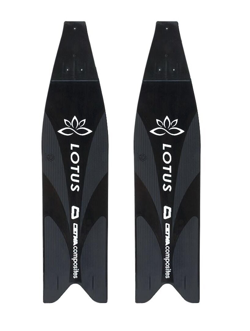 Cetma Composites Lotus Microcomposites Pala