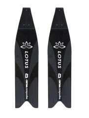 Cetma Composites Lotus Microcomposites Pala