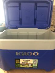 Igloo 50 QT Latitude Buzuk 47 Litre