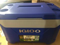 Igloo 50 QT Latitude Buzuk 47 Litre